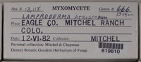Image Associated With the Occurence